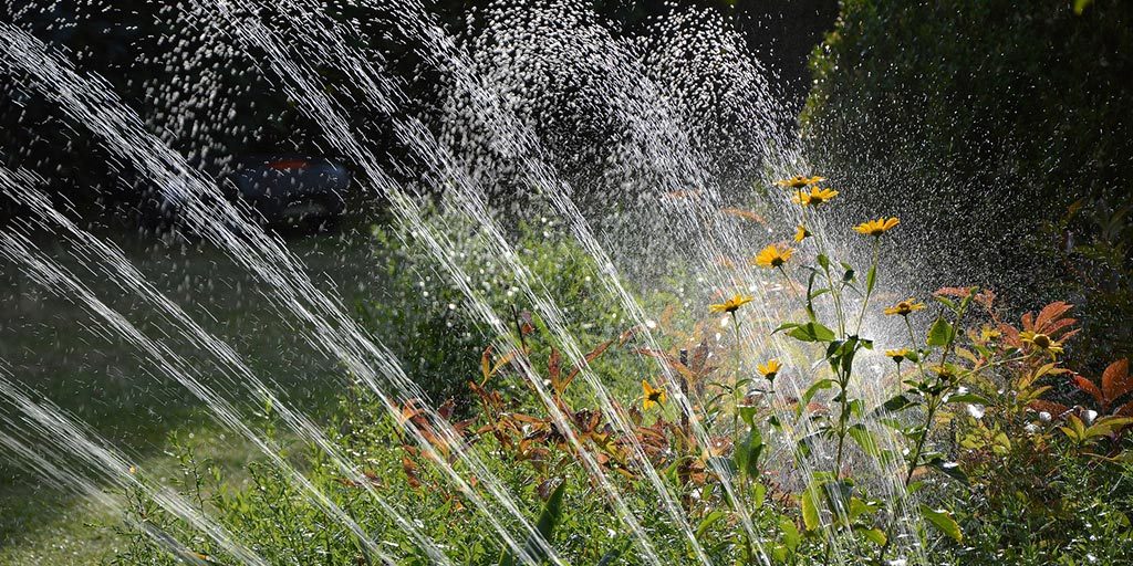 Recycled Water for Landscaping